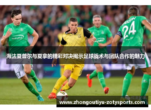 海法夏普尔与夏拿的精彩对决揭示足球战术与团队合作的魅力